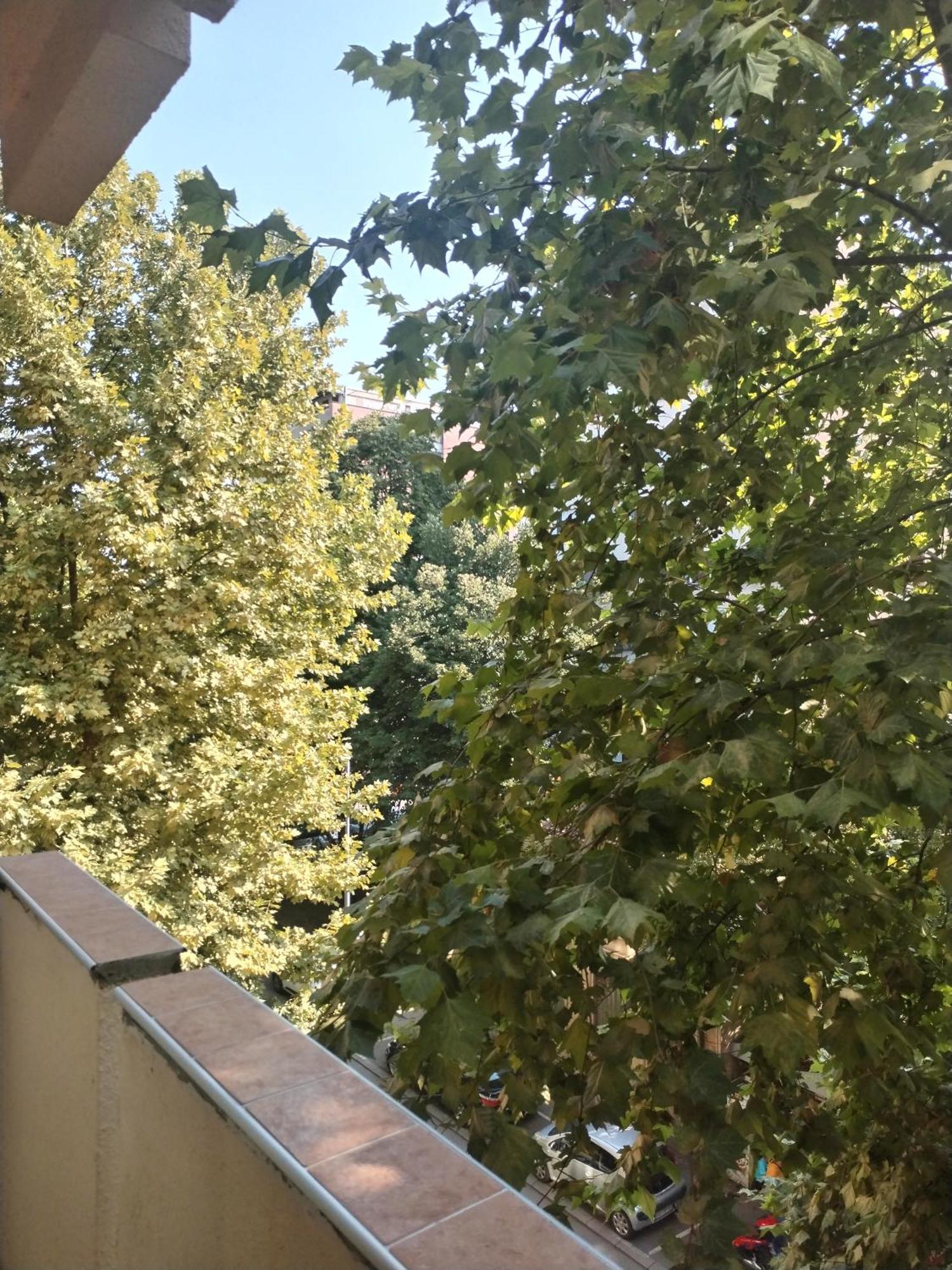 Mm Apartment